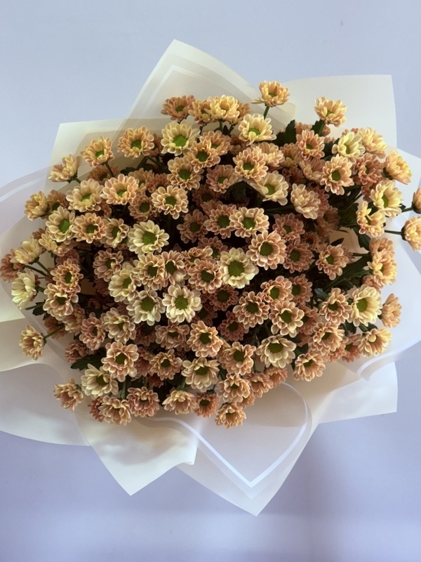 Apricot Krizantem Papatya Buketi