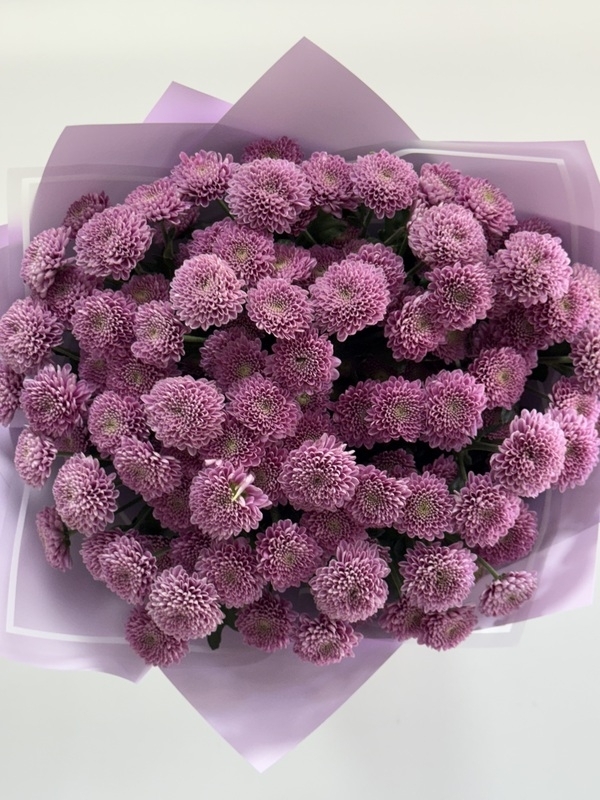 Lila Kasımpatı Buketi