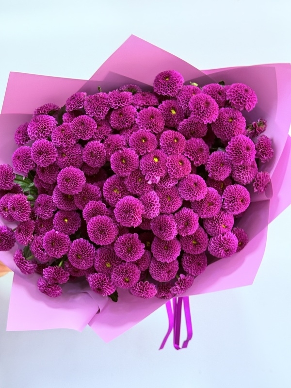 Mor Krizantem Santini Buketi